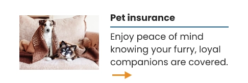 pet-card